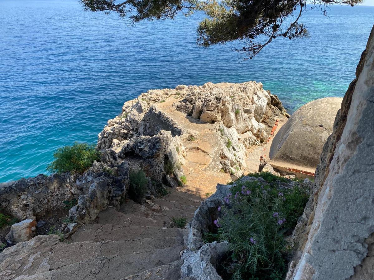 Riviera Dreams Of Life Bed and Breakfast Niza Exterior foto